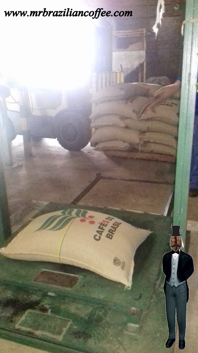 Arabica Rio Minas
17/18
USD 1850 per TON
Available for Ship right now
Talk to us:
Whasaap: +5585992592357
Email: tadeu@mrbraziliancoffee.com
mrbraziliancoffee.com