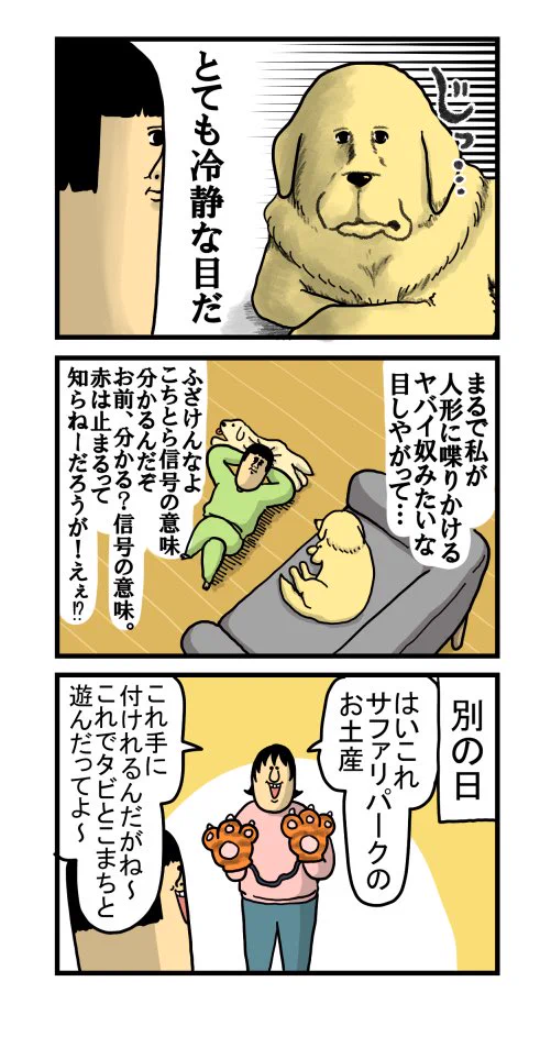 嫉妬を期待したのに？すごい冷静な目で見つめてくる犬www