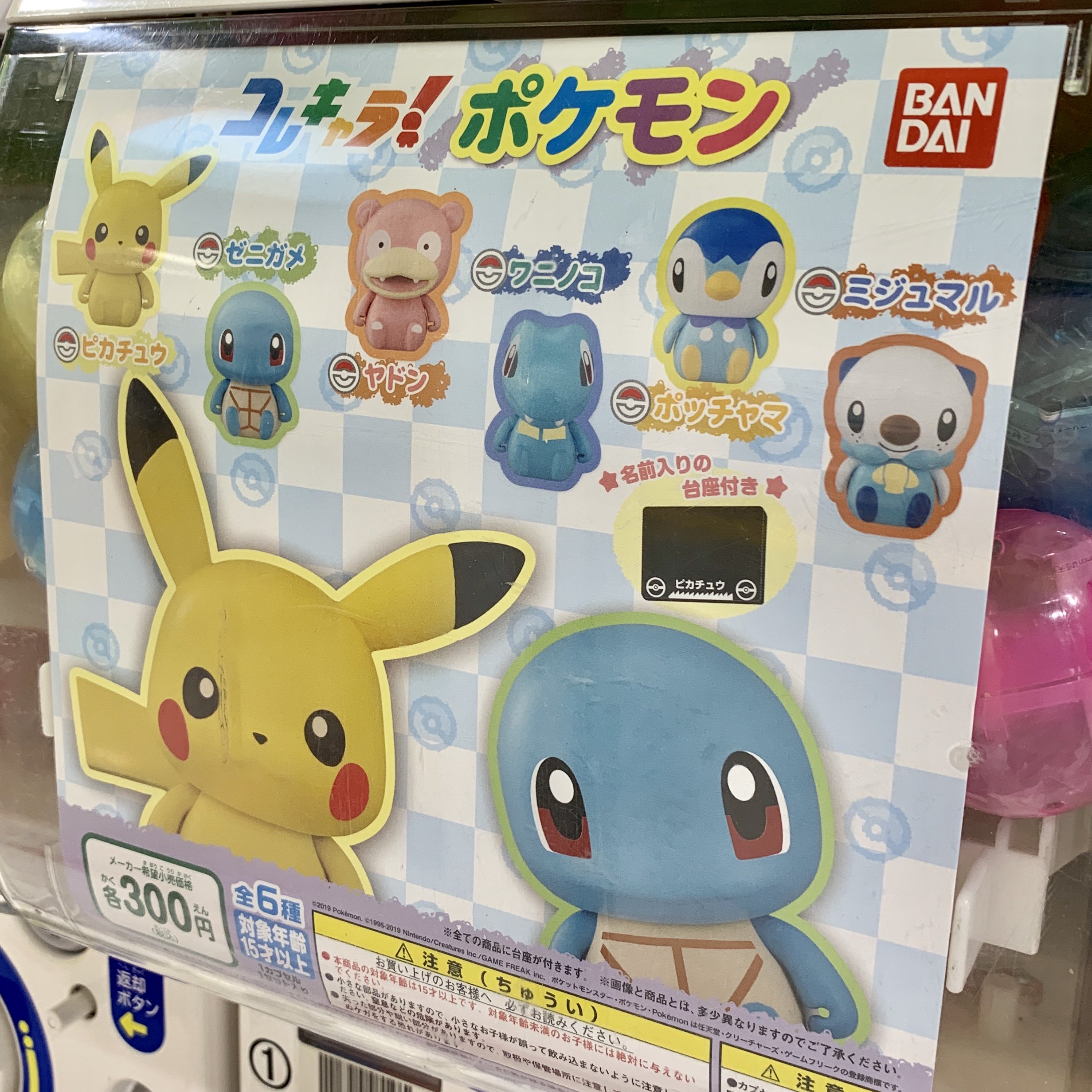 ポケモンセンターnakayama コレキャラ ポケモンシリーズ始動 名前入りの台座付き T Co Agpldeu3xy Twitter
