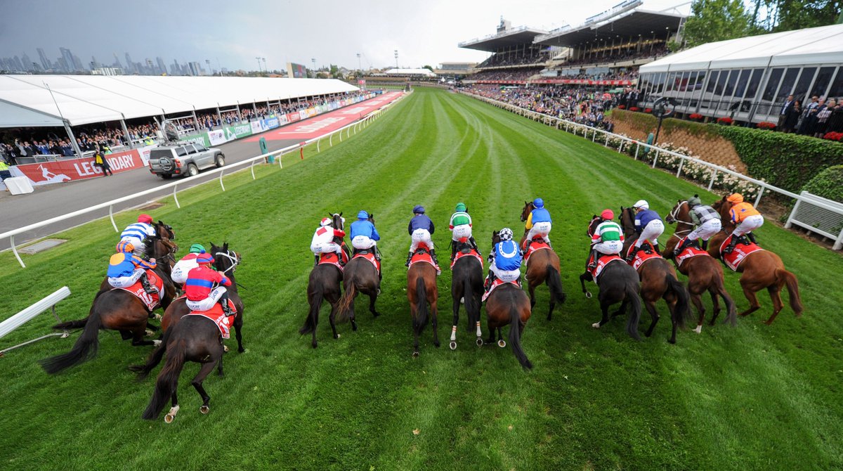 The field jumps from the barriers at the start of the Ladbrokes Cox Plate#races #horseracing #thoroughbred #thoroughbredracing#horsephotographer #melbourneraces#melbourneracing #racingphotography #racingphotos <a href="/racingdotcom/">Find us @Racing</a> <a href="/racingvictoria/">Racing Victoria</a> @thevalleyracecourse @damian_lane