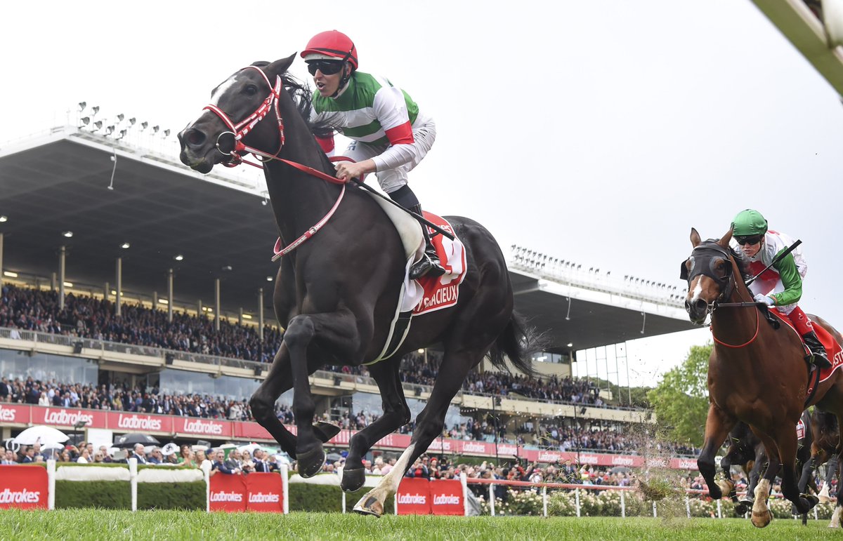Lys Gracieux ridden by Damian Lane wins the Ladbrokes Cox Plate #races #horseracing #thoroughbredracing #horsephotography  #melbourneraces #melbourneracing #equinephotography  #racingphotography #racingphotos <a href="/racingdotcom/">Find us @Racing</a> <a href="/racingvictoria/">Racing Victoria</a> @thevalleyracecourse <a href="/LaneDamian/">Damian Lane</a>