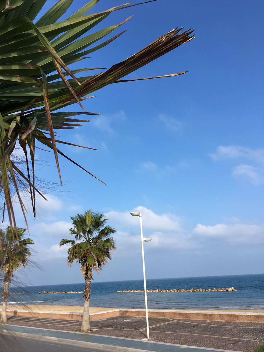 AssuntaAnna's tweet image. 