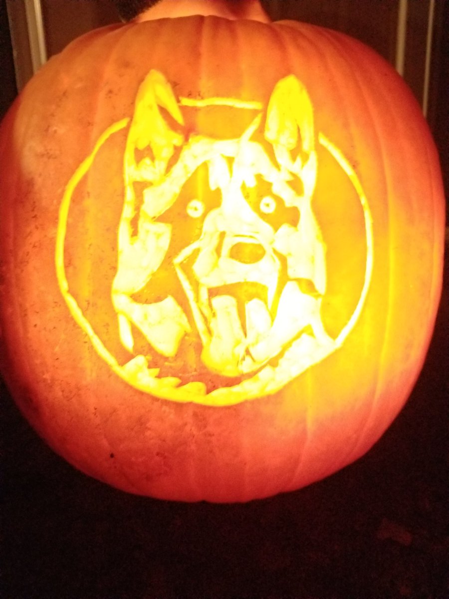 ColkEpical's tweet image. #LirikCarving letterkenny dog, sorry its not Lirik or game related. Shading is better with a candle but i used my phone.