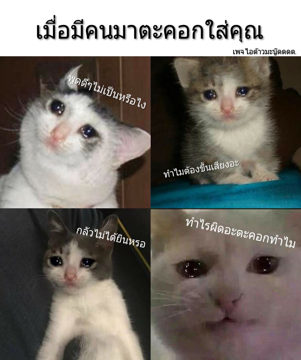 เอ็นดู5555555555