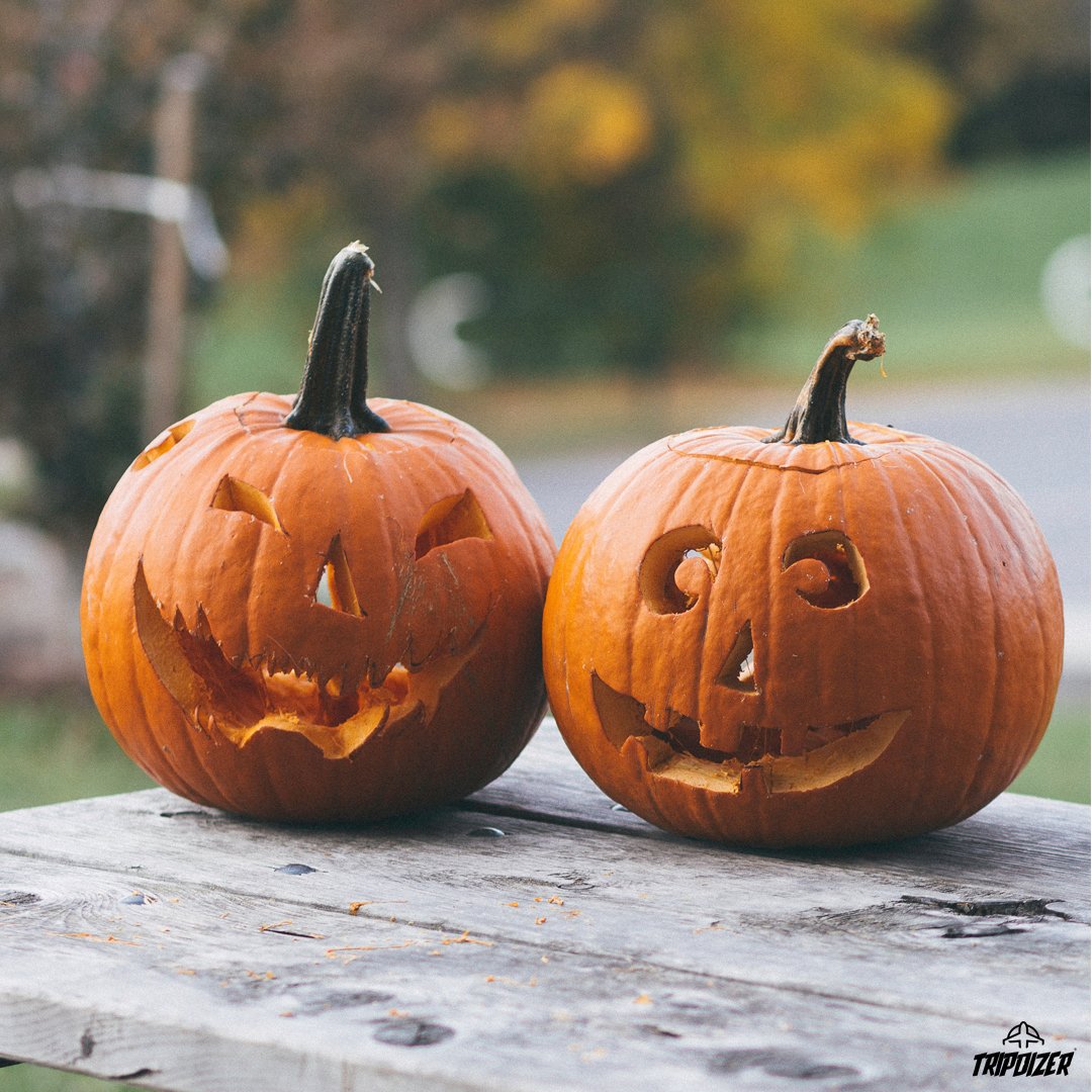 tripdizer's tweet photo. National Pumpkin Day https://t.co/ZmCGIPBqYM
