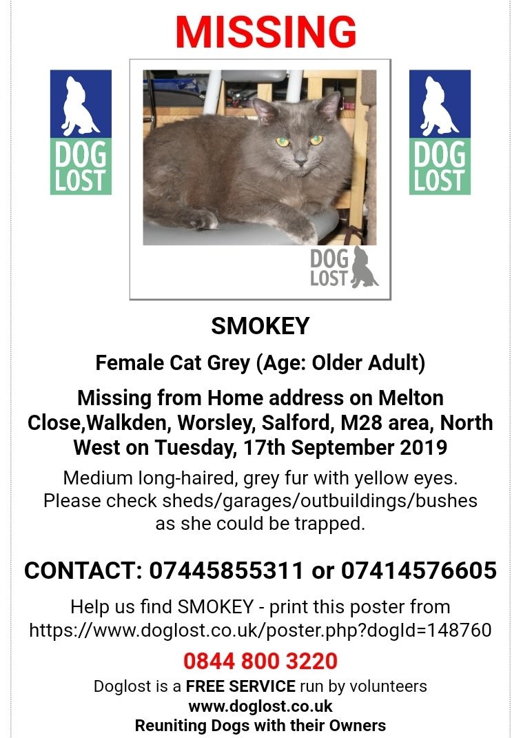 Missing Pets GB tweet media