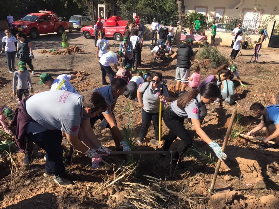 RFilothei's tweet photo. On Saturday 26/10/2019 our Club assisted 
@OfficialWe4all in the first reforestation action in Rafina.We look forward to the next reforestation on 9/11. #we4all 
@act4mati @mati_greece @naturevalley
 #rotaract_club_of_athina_filothei #racfilothei https://t.co/kZnhtPrDHY