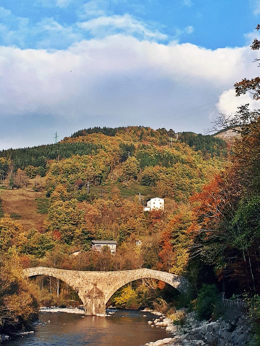 🍁L'autunno avvolge il Ponte della Fola
a Pievepelago 😍

Ph Graziella Cadegnani