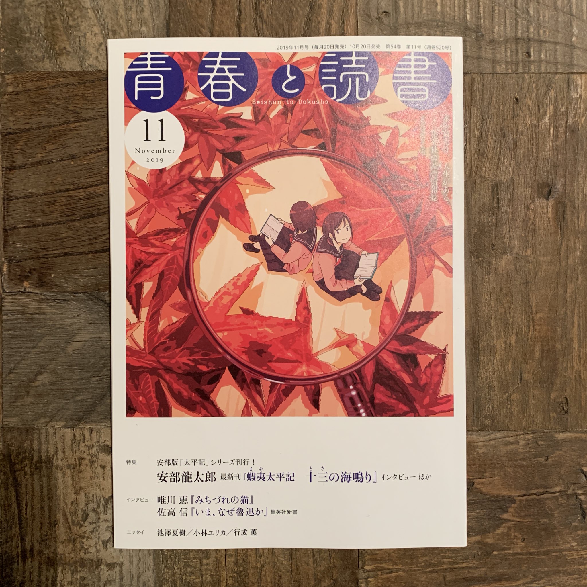 456 集英社より 青春と読書 11月号です 集英社の新刊情報 人気作家の連載小説 連載読物やエッセイや対談などを記載した月刊情報誌です 本屋さんのレジ付近にあると思うので気になる方どうぞ T Co Foh6ja8579 Twitter