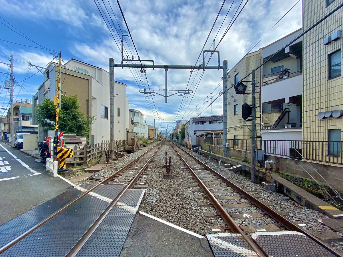 Shoteki (@k535980890) on Twitter photo 