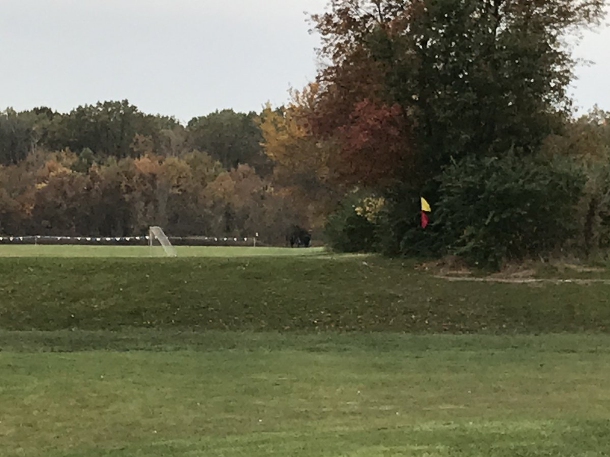 Coach Crowe tweet media