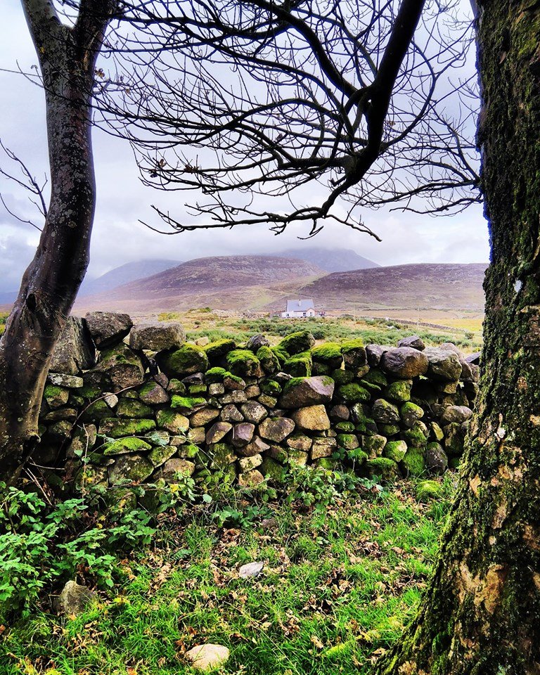 Beautiful Mourne Mountains, Co Down, N  #Ireland. Mournes are made up of 12 mountains with 15 peaks & include the famous Mourne wall (keeps sheep & cattle out of reservoir)! Area of Outstanding Natural Beauty. Partly  @NationalTrustNI. : Daniel Mcevoy (with lovely cat!)  #caturday