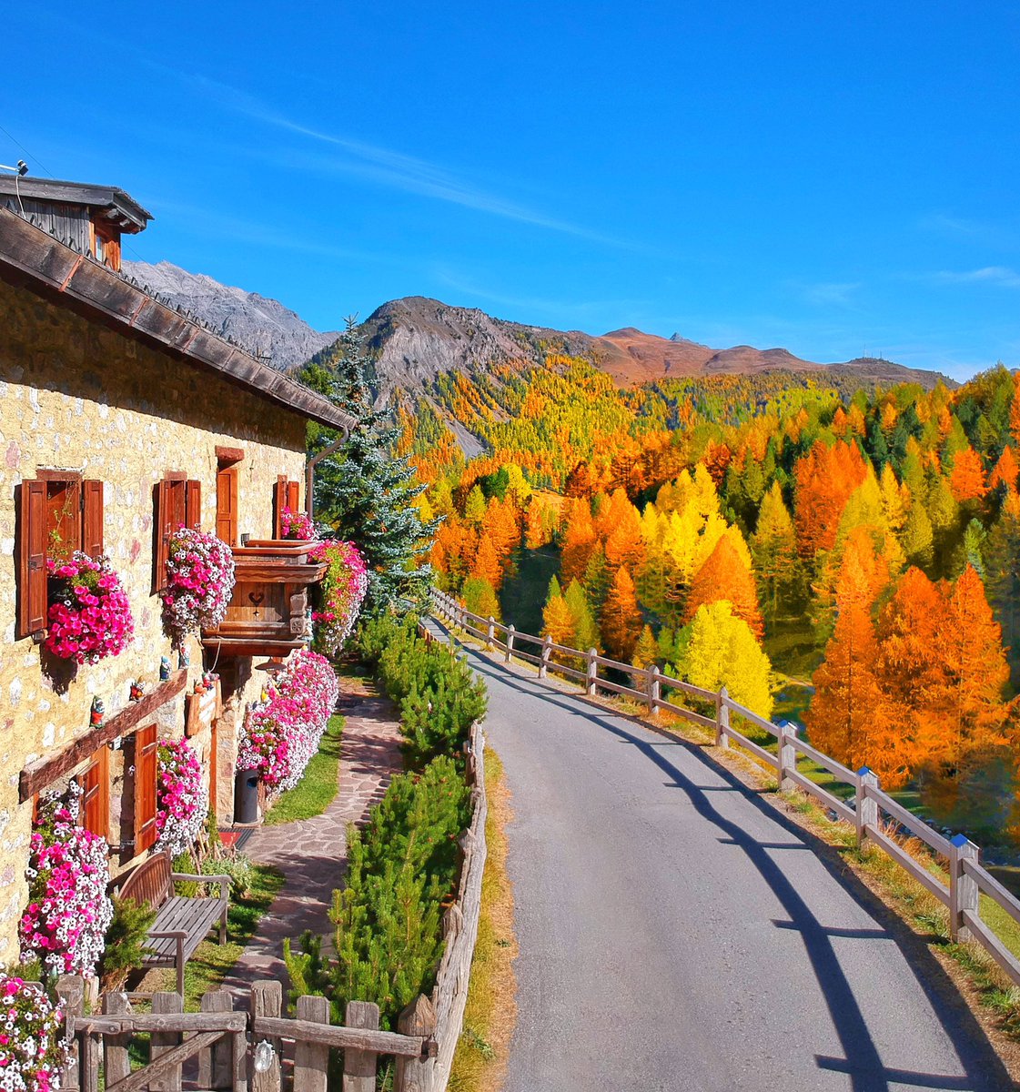 #Autunno e #Primavera nella stessa foto 🤩🍁🌸 #Livigno

Autumn and Spring in the same pic ❤️🥰🌺🍂