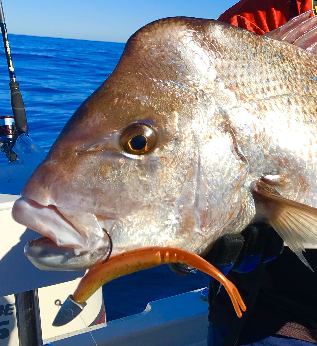 Flattys, Jacks, Snaps, Mack’s you name it, if it can be caught on the Sunny Coast my team of experts will show you how this Sunday at the Pelican Waters Tavern.