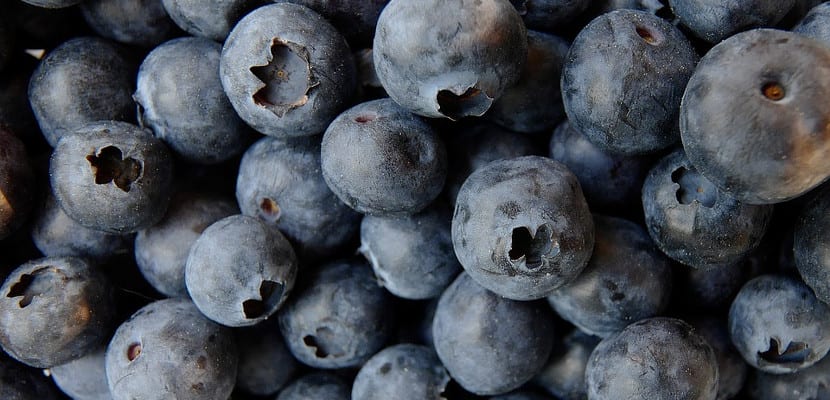 Superalimentos – ¿Quieres llenar tu dieta de superalimentos? Si la respuesta es afirmativa, has llegado al sitio adecuado, ya que aquí te... feedproxy.google.com/~r/hombresconE…