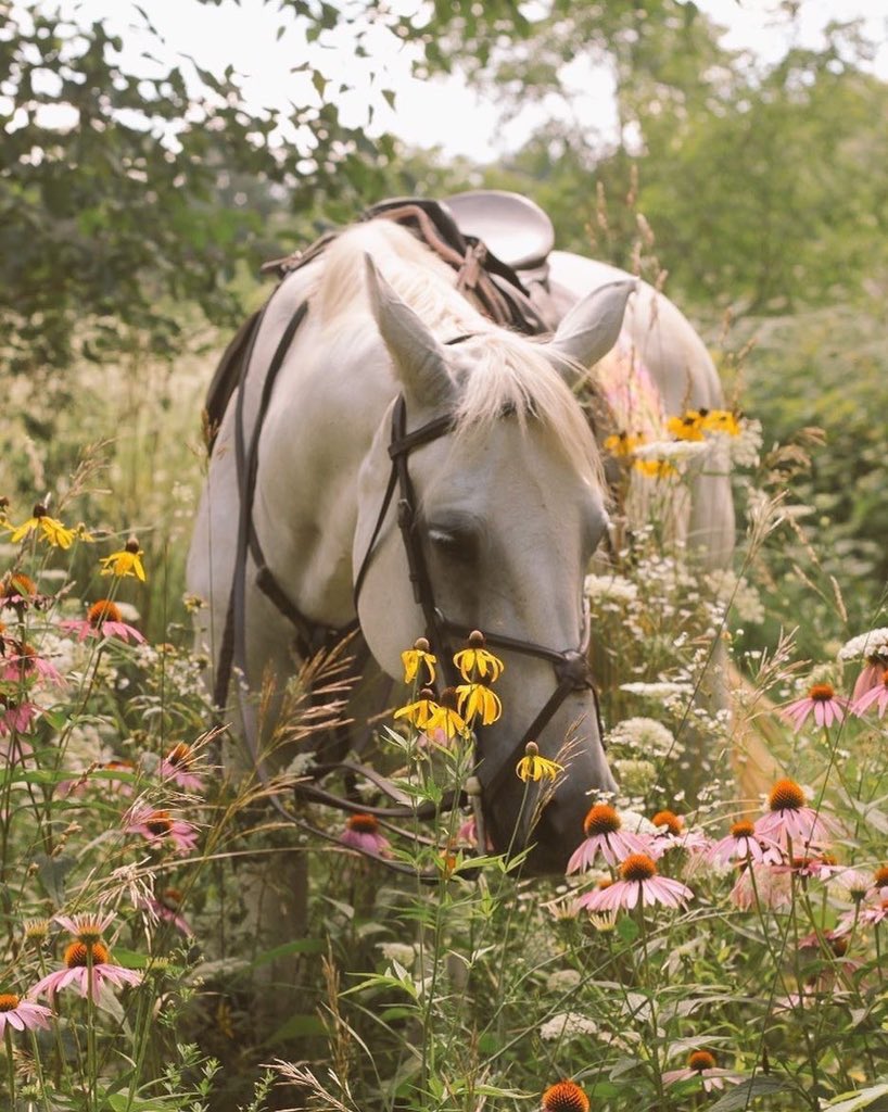 لا تيأس 

فـ خزائن الله، اوسع من أحلامك 🌿💛🌻