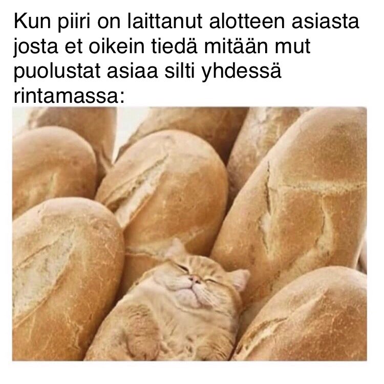 ”Kun piiri on laittanut aloitteen asiasta, josta et oikein tiedä mitään, mutta puolustat asiaa silti yhdessä rintamassa”

Meidän piirissä ei tietenkään tätä ongelmaa. 

#keskustanuoret #eskenut