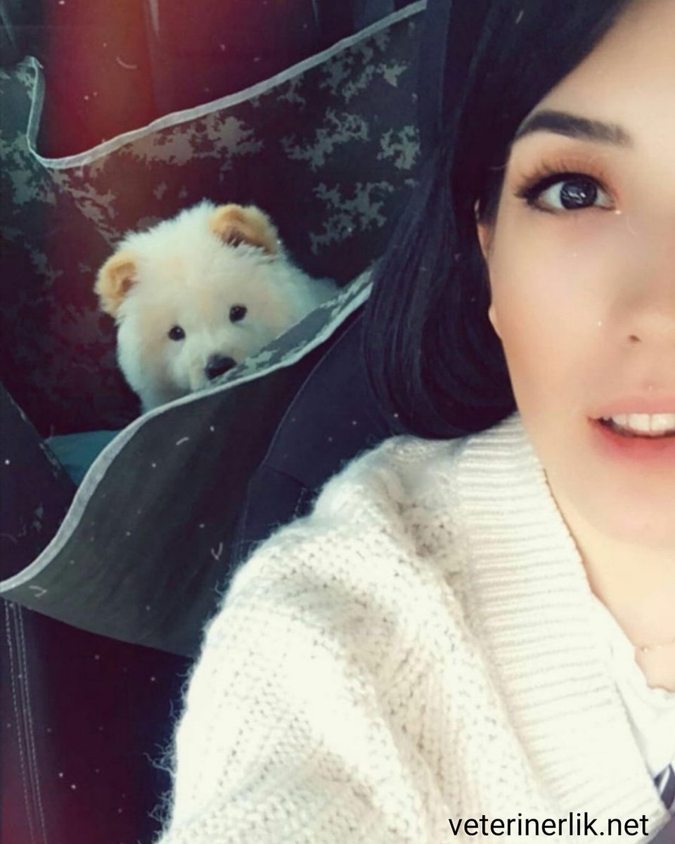 Biri bizi gözetliyor 😄

Dostlarınızla ilgili tüm sorularınızı alanında uzman veteriner hekimlerimize ücretsiz sormak için hemen üye olun.

veterinerlik.net

#köpek #dog #hayvan #animal #dost #veteriner  #veterinerliknet