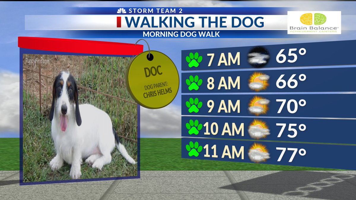 arielle_WX's tweet photo. Heading out to walk the dog this morning things are looking good. But get out all the energy you can because a few showers could but a damper on the evening walk. Our model this morning is Doc! Look how happy this little guy is!  #CHSwx @WCBD #CountOn2 #WalkingTheDog https://t.co/CsY2LOP3QK