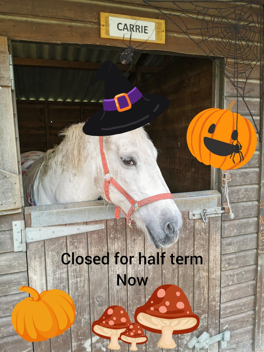 A reminder that we are now closed for half term.

We start again on Wednesday 6th November.
Have a wondeful holiday

#halfterm #nicebreak #horseholiday #halloween #allsaintsday #autumn #pumpkins