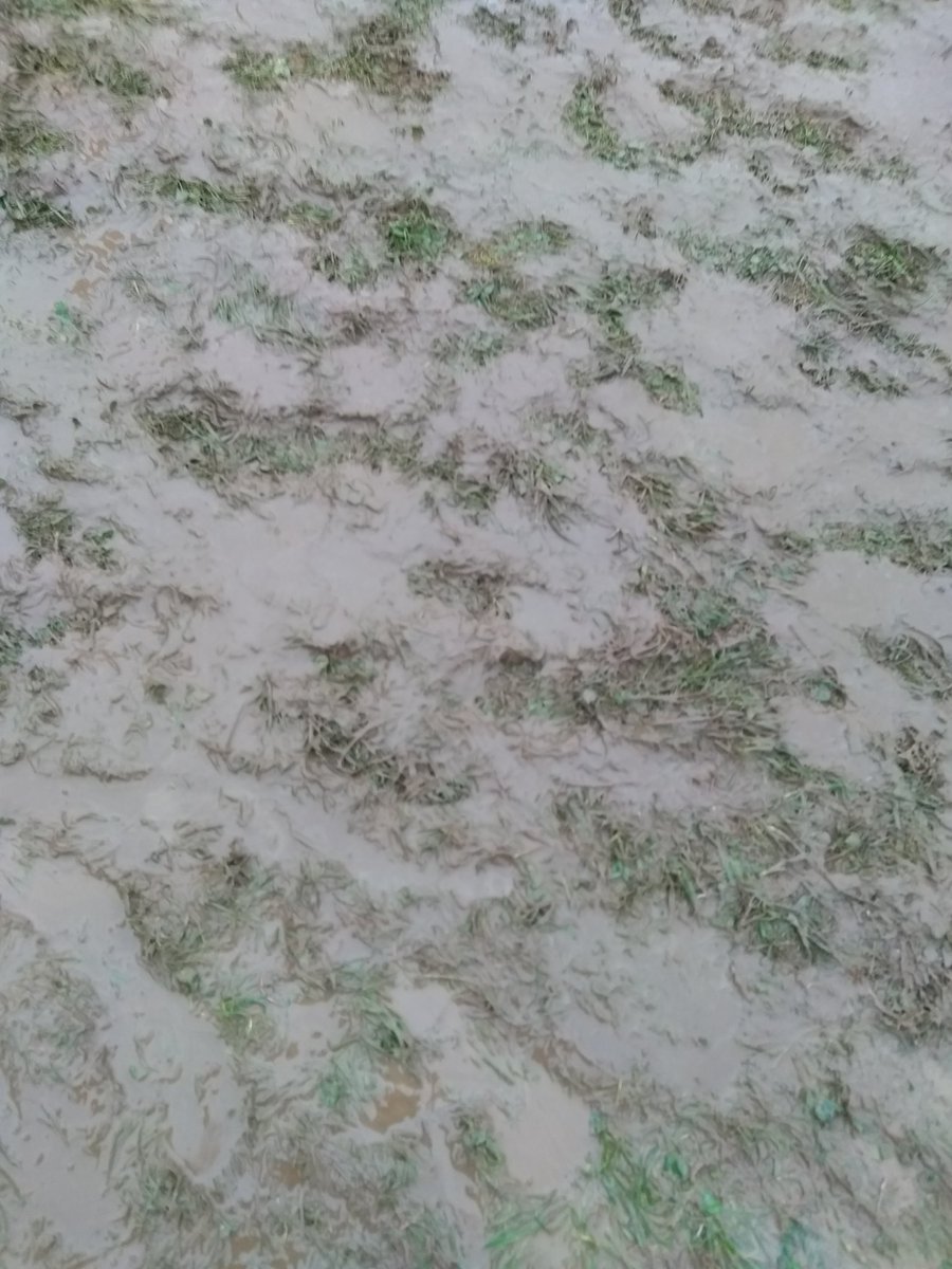 PaulaHeneghan's tweet photo. Proper cross country weather today #notforwimps Well done all Sherrier children who took place you should all be so proud @SherrierCE @SherrierY5 https://t.co/bOYDCfQsjp