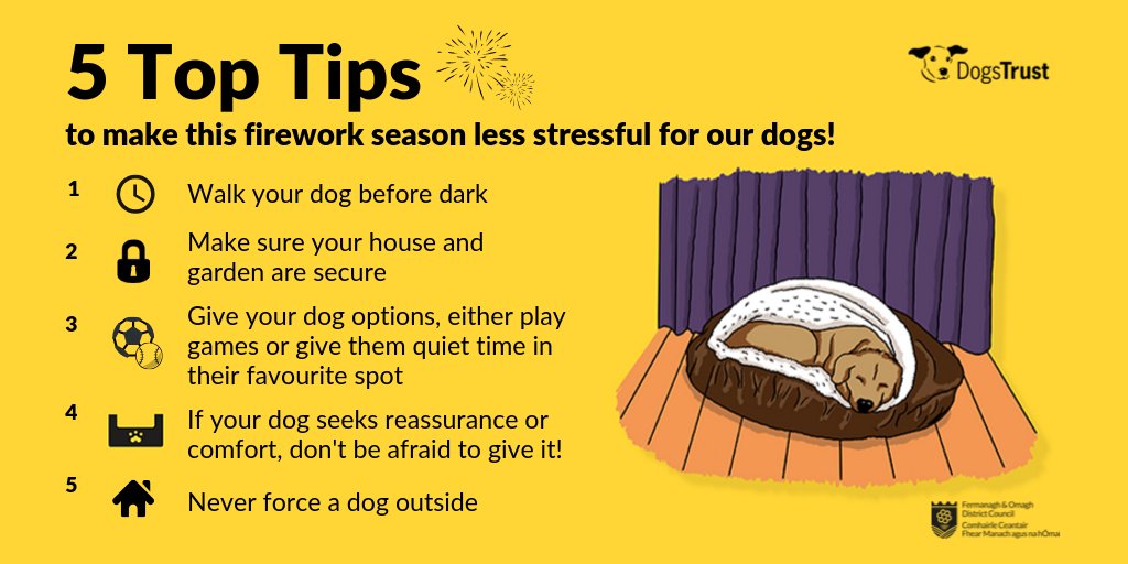 fermanaghomagh's tweet photo. Following on from the #fireworkdogcode, here are 5 Top Tips from
 @DogsTrust to help make this firework season less stressful for dogs! https://t.co/wxbWr9J1hx
