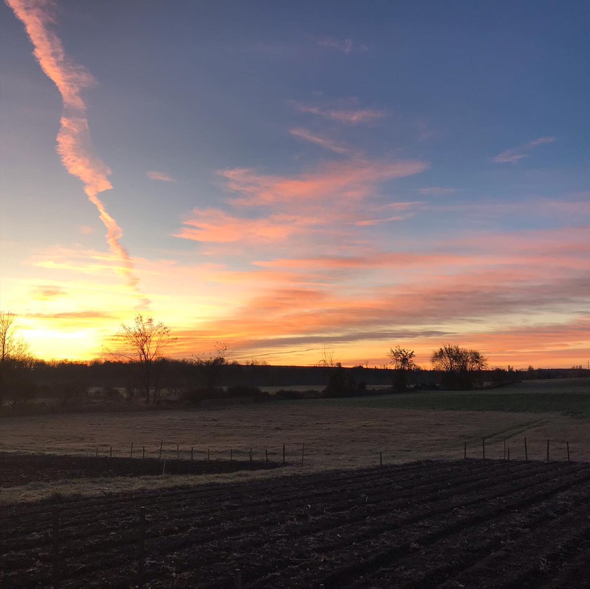 IRsweetcorn's tweet photo. Beautiful #sunrise this morning which means it will be a gorgeous day to pick out your #pumpkin and #halloween decor. Come today because tomorrow’s weather looks pretty rainy💧☔️💧☔️💧☔️#lastweekendopen #getitwhileyoucan #smallfarm #farmfamily https://t.co/BDY1pSlL7I