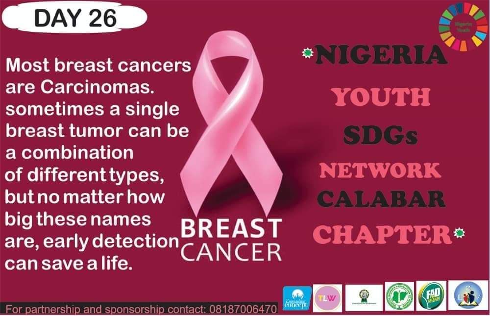 education_esv's tweet photo. #BreastCancerAwarenessMonth
#Day26
#breastcancerawareness
#BreastCancer
#PinkMonth
#MoreThanPink
#SDG3 
#Oct_26
#KnowTodaySaveTomorrrow
@NGYouthSDGs 
#SDG4 https://t.co/HJy5XcLt46