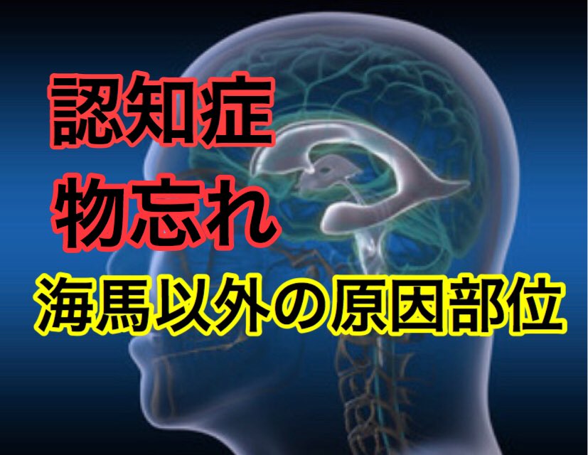 リハビリテーション 日本 協会 症 認知