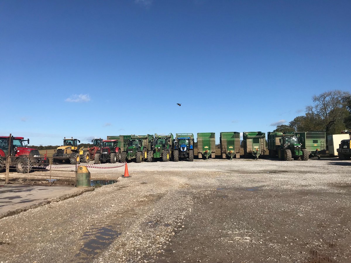 Siobhán Walsh tweet media