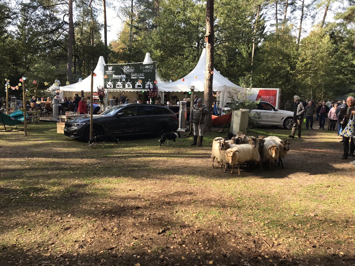 Visit De Lutte Losser tweet media