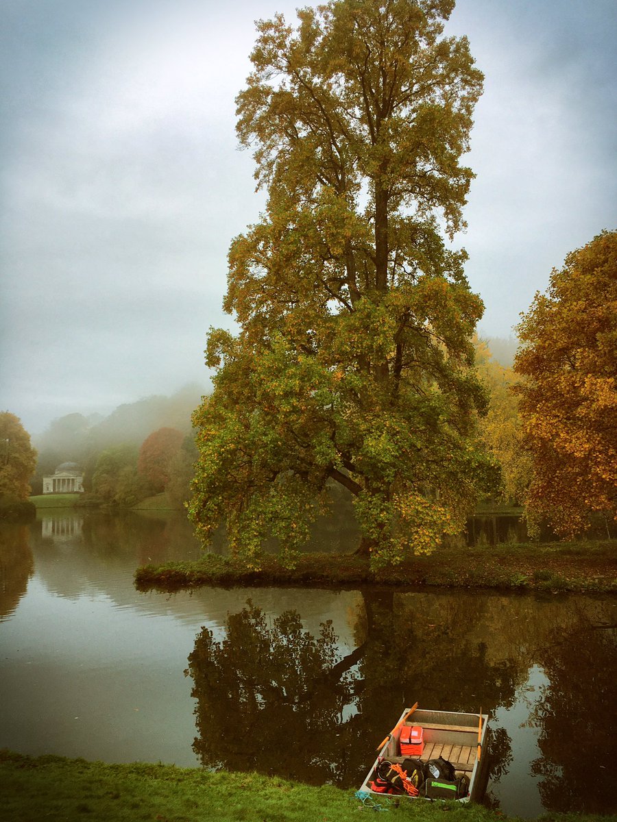 Getting ready to climbing this amazing tulip tree on the island <a href="/ntstourhead/">Stourhead</a>. One of my favourite trees to climb. <a href="/alanstourhead/">Alan Power</a>