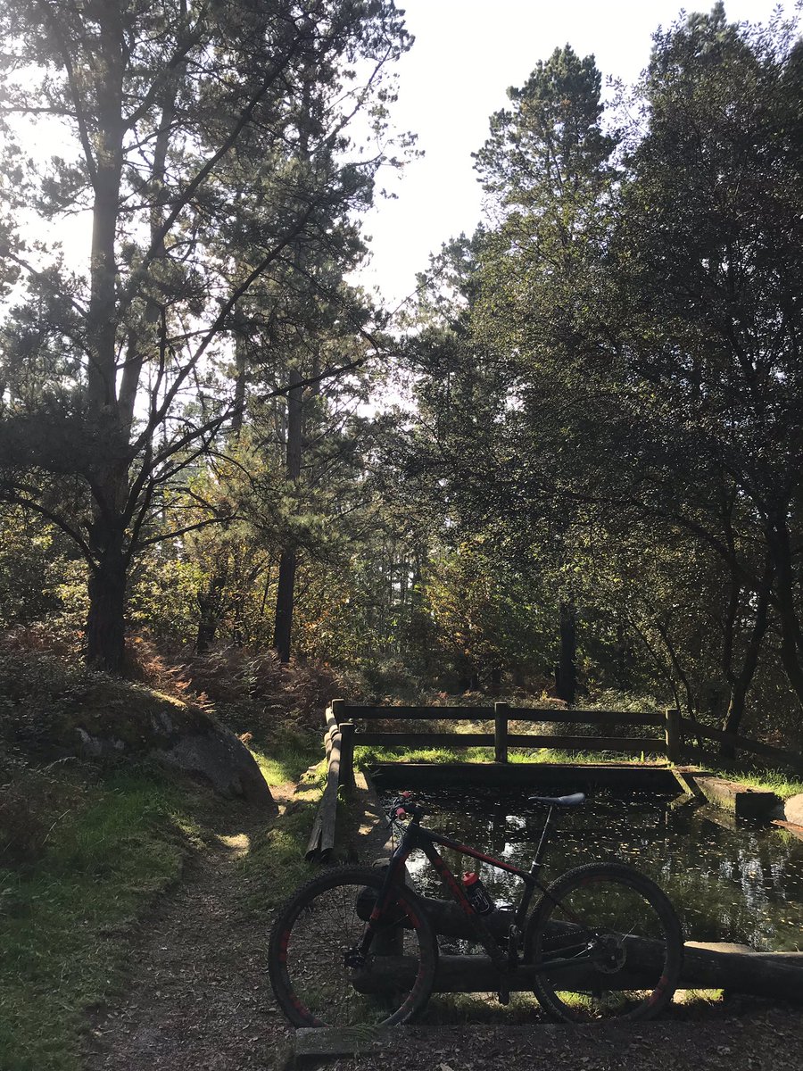 DavidDP1974's tweet image. Hemos aprovechado la mañana #btt #trekbikes #procaliber #Mountainbike