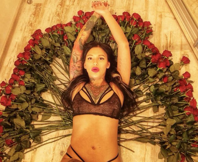250 🌹 https://t.co/jVrvxytbEo