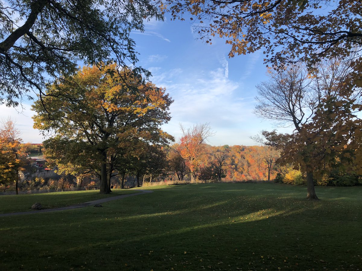 lisapolizzibflo's tweet photo. Running 4 candy #JackOLantern #5K https://t.co/2o9XOJ9RhW