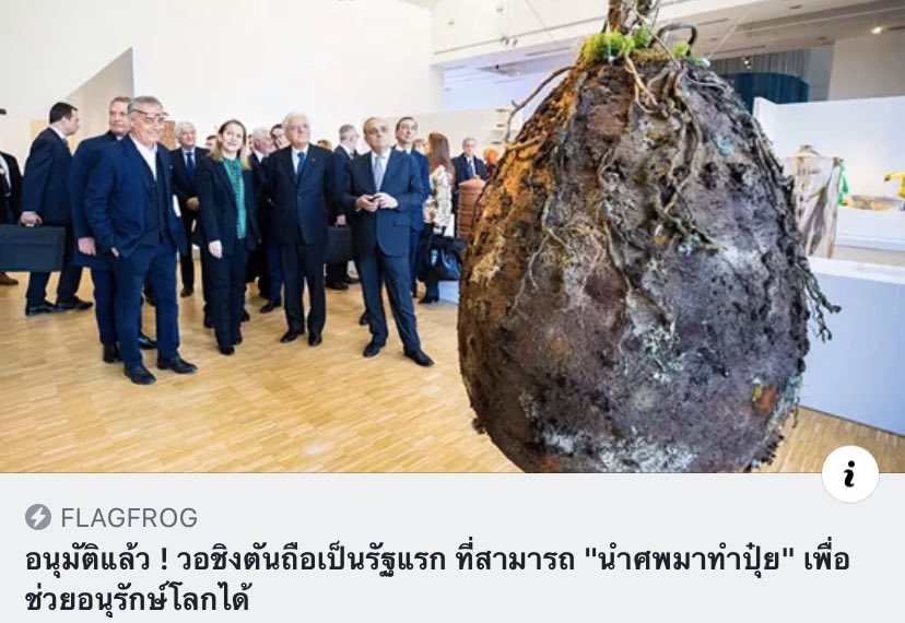 kingkhing76 tweet media