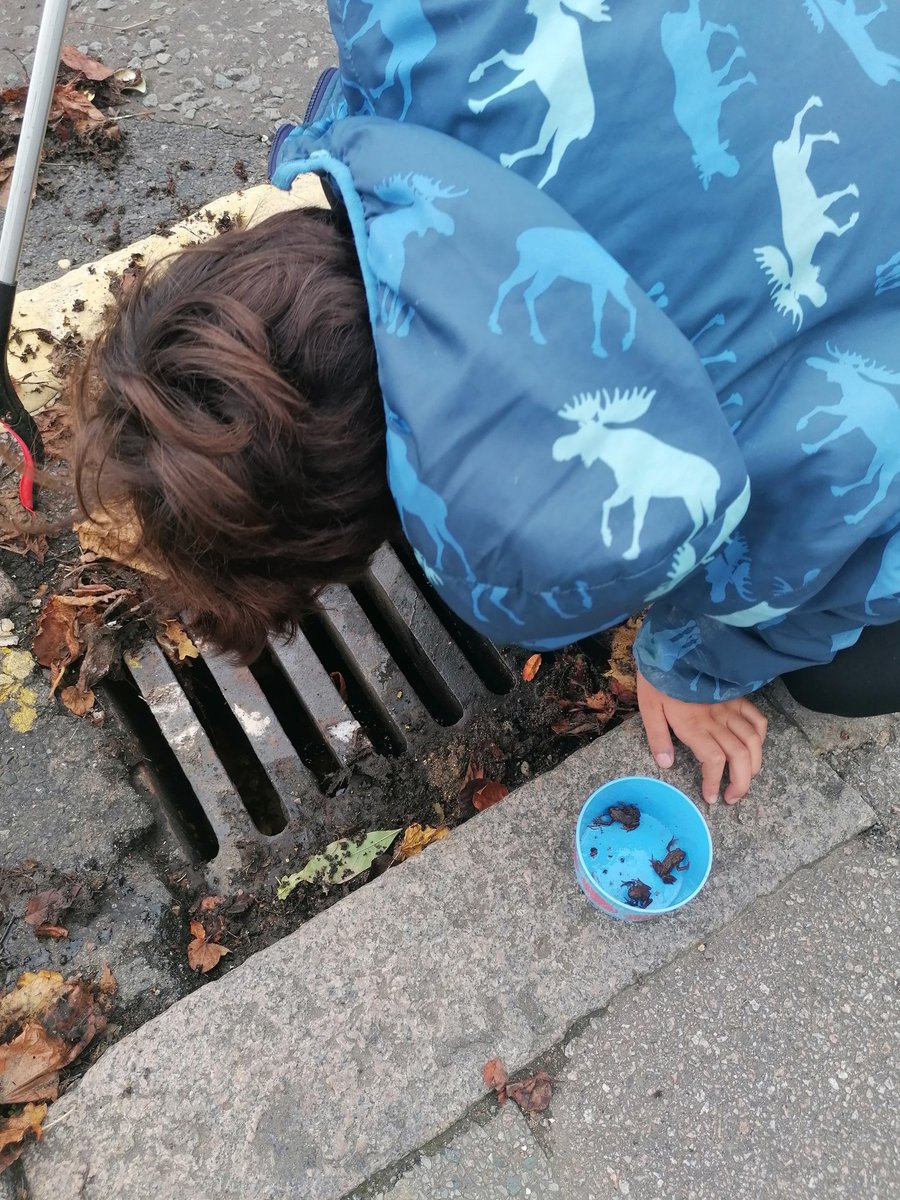 Litter Kickers tweet media