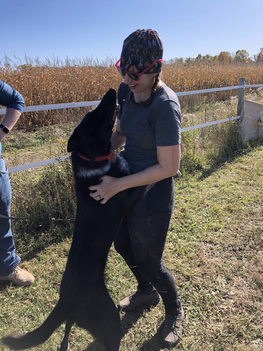 More Grinch pictures, you ask? Well, after peeing on every blade of grass 12 times, he made his rounds for selfies and pets. He also gave everyone hugs! Another sweet moment caught on camera of  @BlairBraverman with a dog that absolutely adores her.Goofy Gronch.  #uglydogs  #grinch