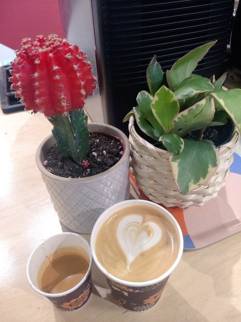 stephkao's tweet photo. DRANK SO MUCH COFFEE AT @LACoffeeFest IT WAS THE BEST MY HEART FELT LIKE EXPLODING DEFINITELY GOING THROUGH A CAFFEINE CRASH RN BUT IT WAS GREAT I LOVE COFFEE THANKS @ayanami116 LOVE YOU BINCH https://t.co/0VG97ECKMo