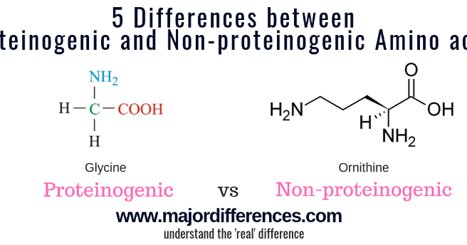 BiologyExams4U's tweet photo. How is Proteinogenic Amino Acid different from Non-proteinogenic amino acids? | #MajorDifferences🕵️
Enjoy Biology 💖 https://t.co/1sWuPiygPI
#biochemistry #biology #apbio https://t.co/7Fmq1WcRBy