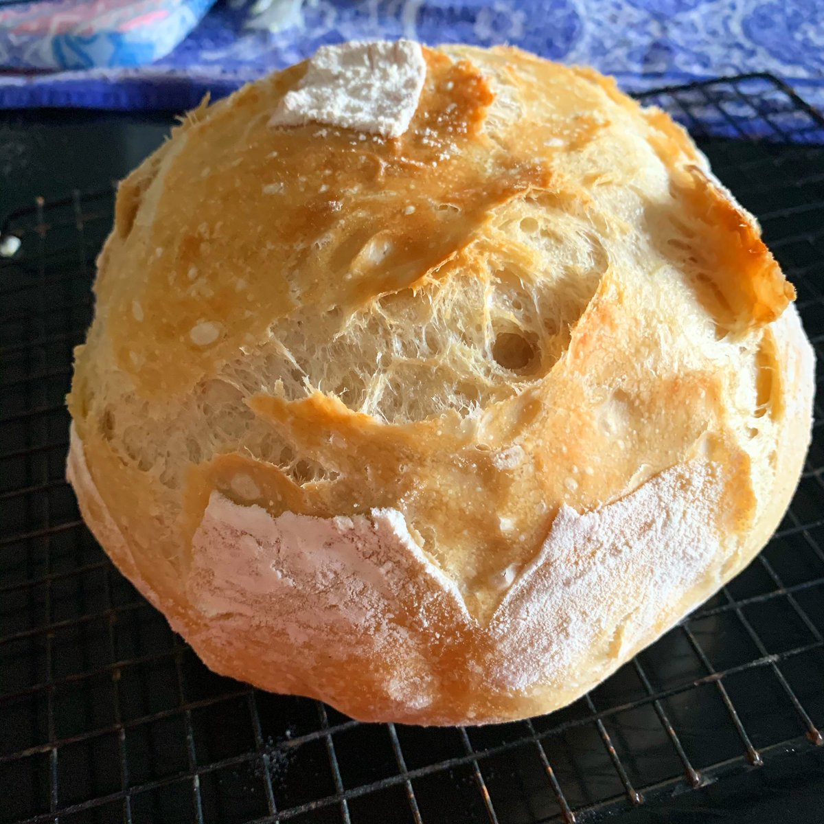 anoosrini's tweet photo. Boule! Baked in my @lecreuset Dutch oven with @Breadin5 dough.
.
#AnooCooks #OystersAndLemons https://t.co/4c0RWmuDD3