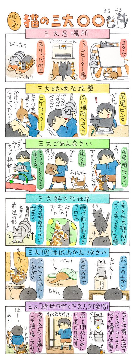 「三大〇〇」
みんなのお決まりから、各々の得意技まで。
ちなみに最後はきっと猫の優しさですね。
(久保智昭さんの「猫色スケッチブック」)他一枚更新しています。
⇒(