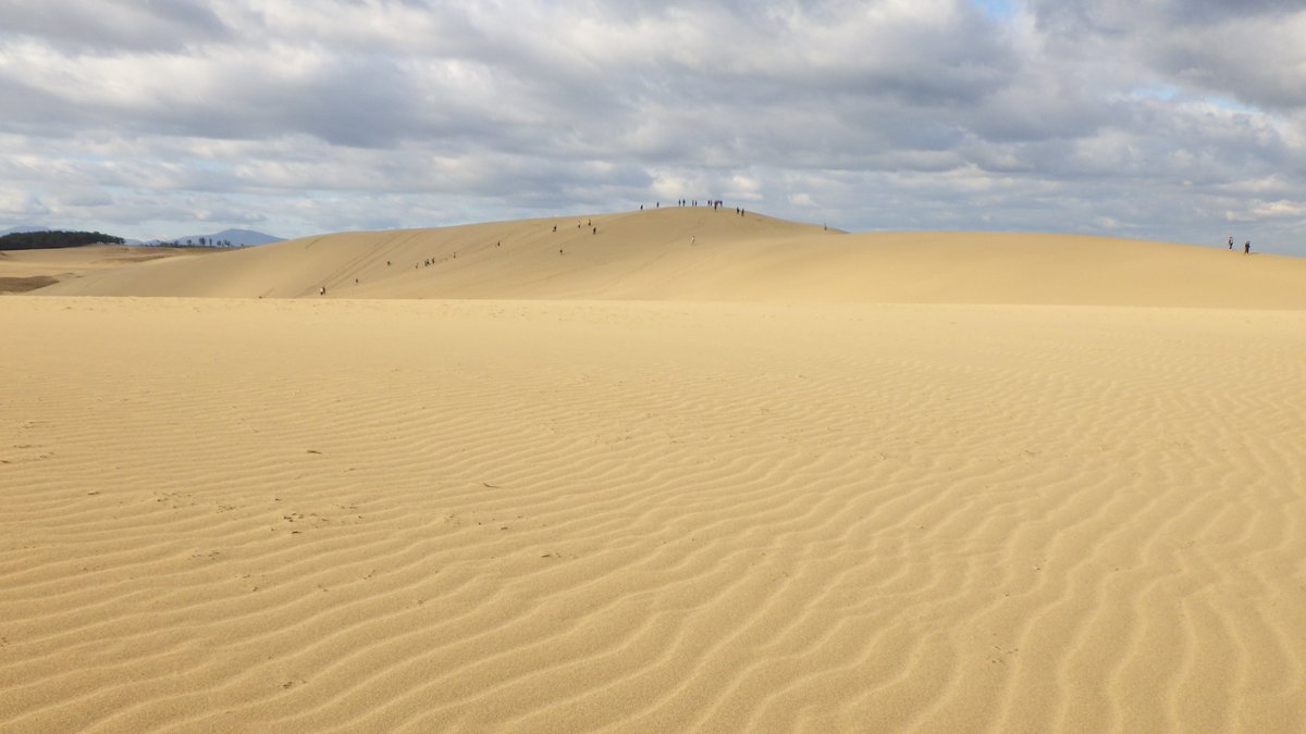 鳥取砂丘ビジターセンター على تويتر 今日の鳥取砂丘 雲が多いものの眺めは最高です 砂はさらさらで足跡のない場所には 風紋 ふうもん が広がっています 砂浜に打ち寄せる白波の色も綺麗です 山陰海岸立公園 山陰海岸ジオパーク 鳥取砂丘 風紋 雲 海