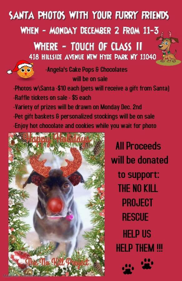 TheNoKillProject (@nokillproject) on Twitter photo 