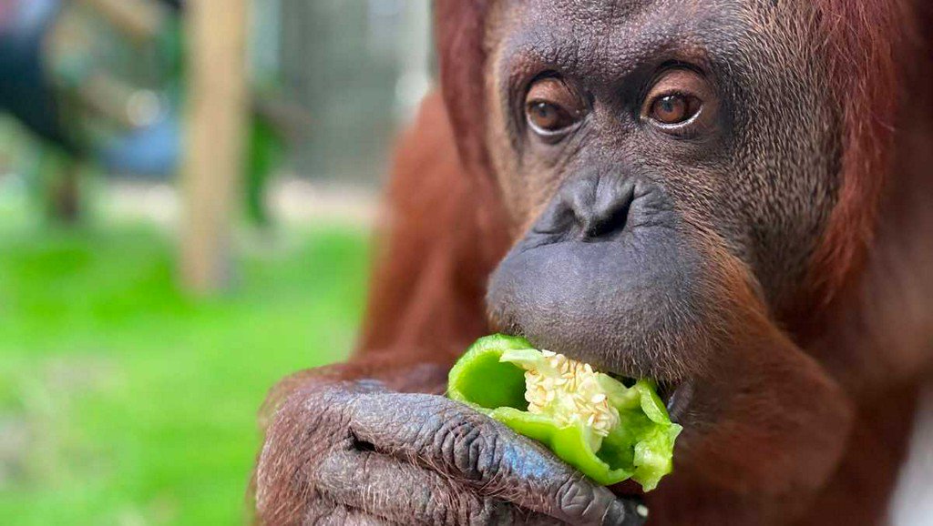 WBAL-TV 11 Baltimore tweet media