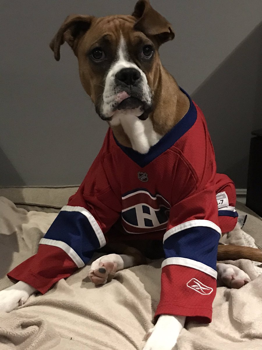 bait99's tweet photo. #HNIC @CanadiensMTL #GoHabsGo!!! https://t.co/IidEWoapGw