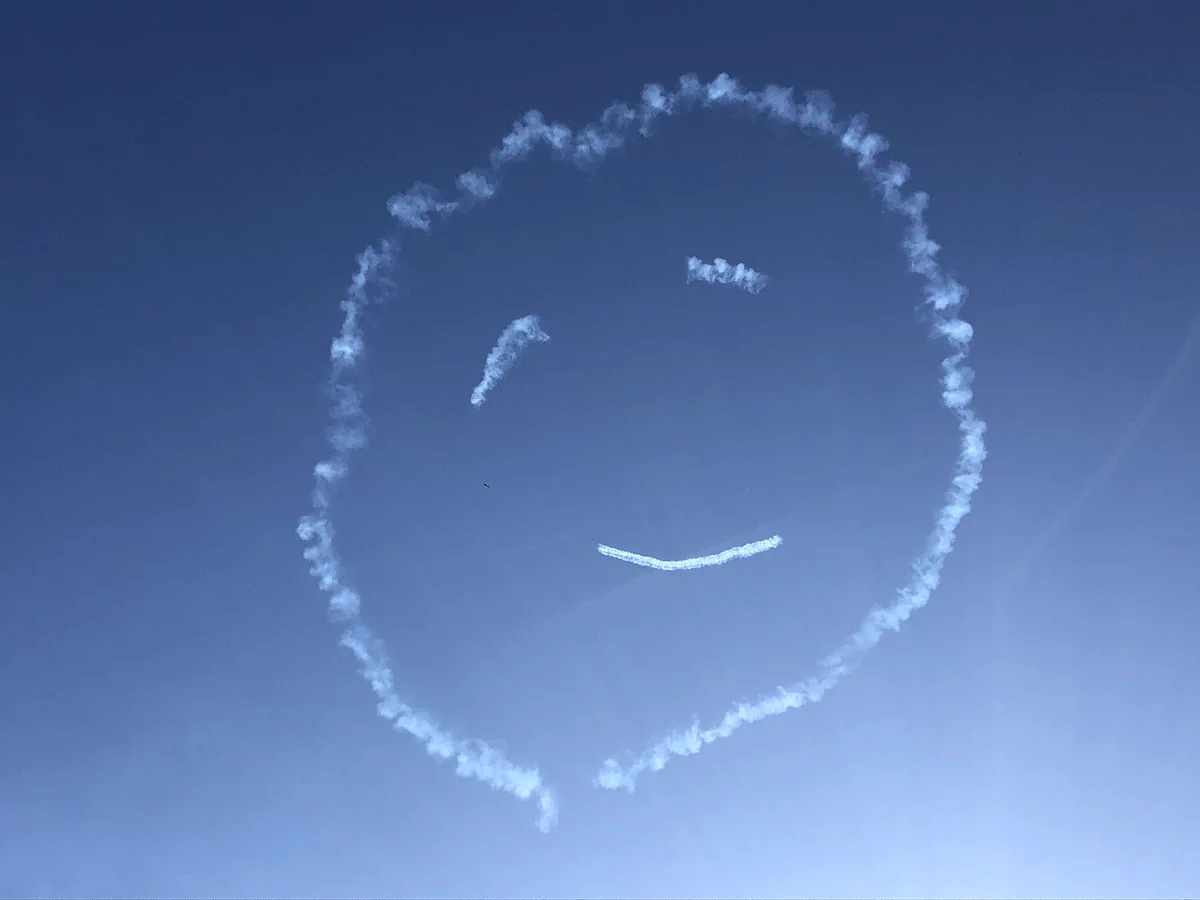 岐阜基地航空祭2019！すご腕パイロット！！