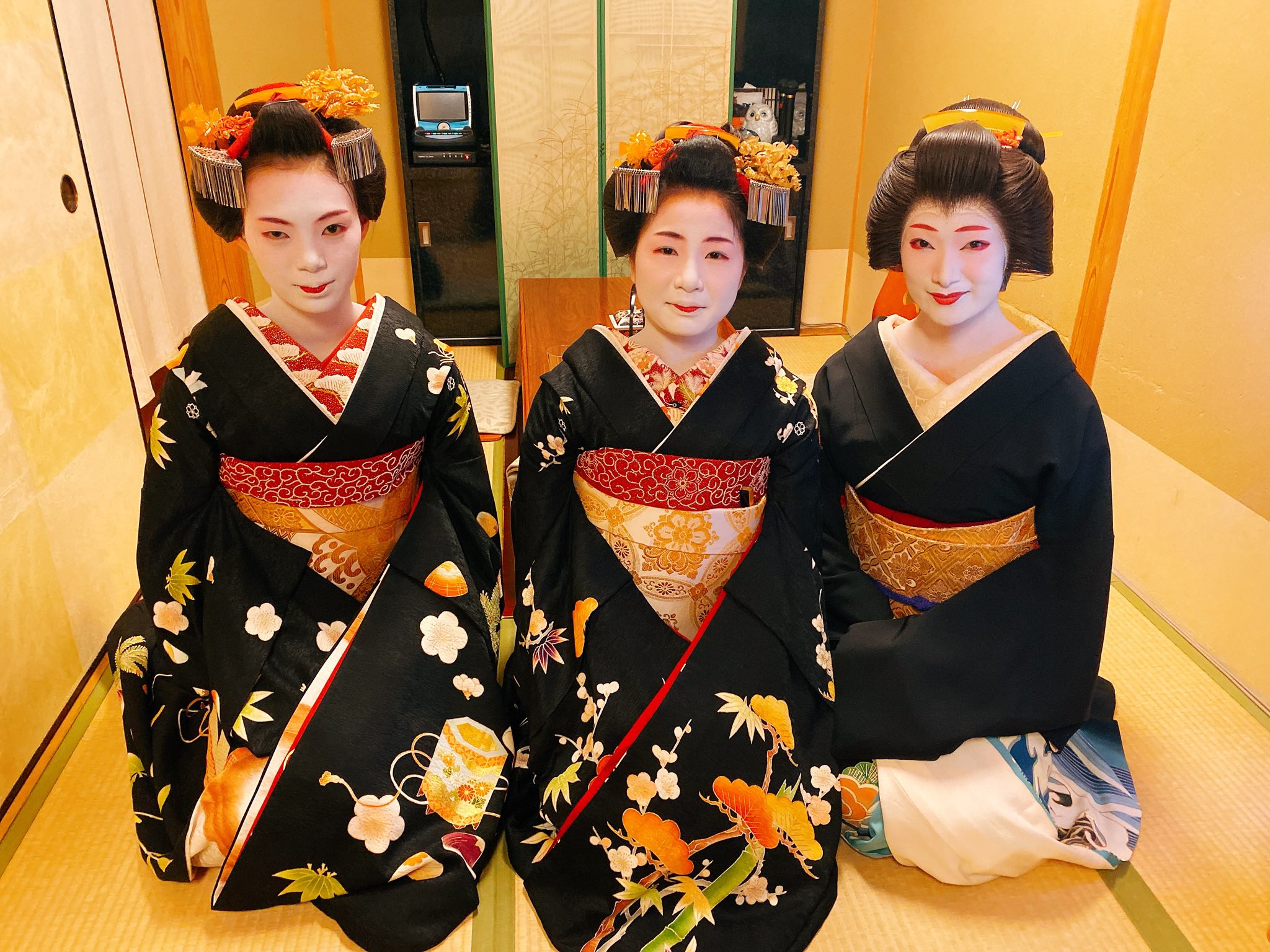 竜宮舞をんな 舞妓だらり帯『鯖地麻ニ綱青海波松』 竜宮 八 白菊 舞妓だらり帯『朱蹌踉桐色青海波帯』 - メルカリ