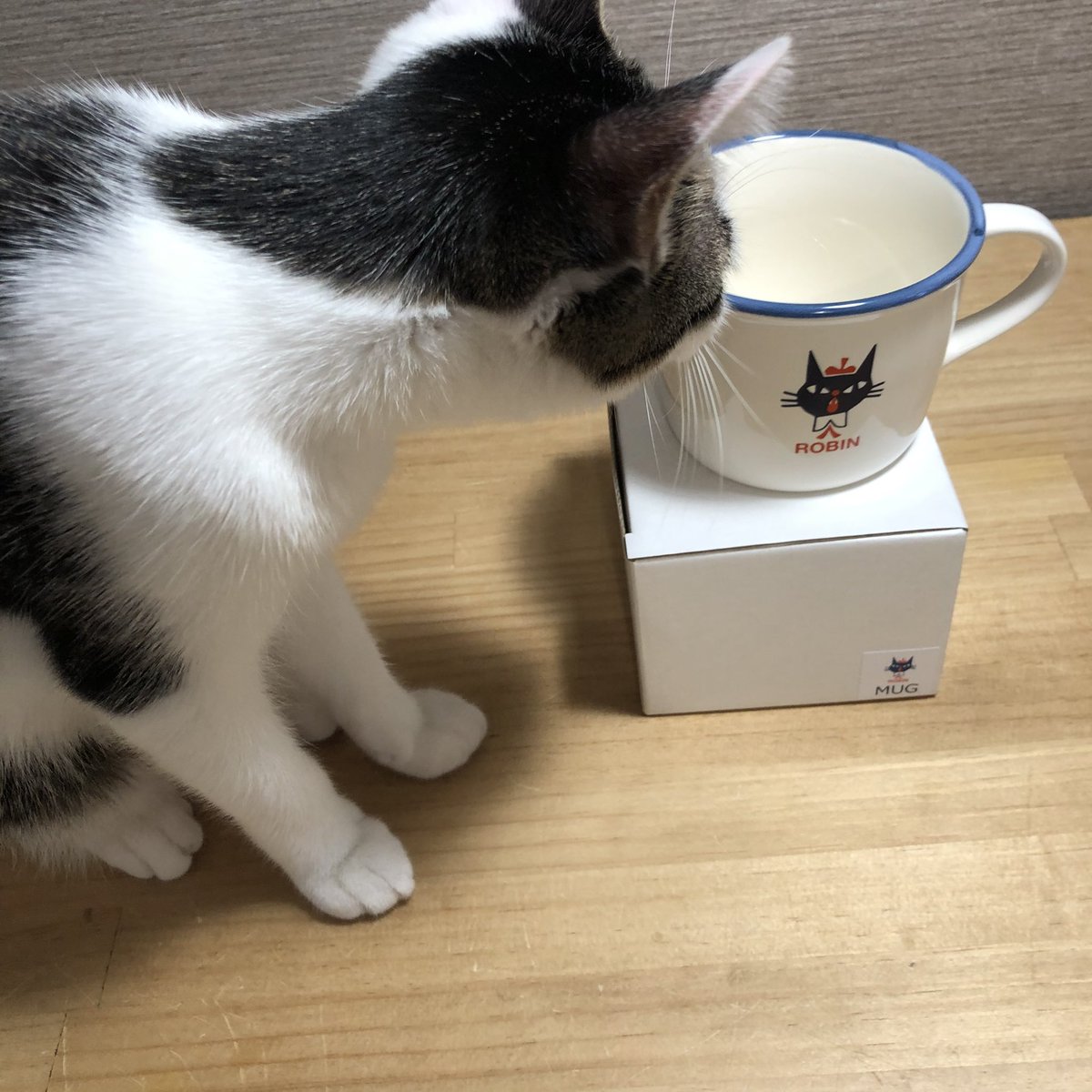 黒ねこ意匠 にゃんぱらり展 マグカップも来ました こちらもデザフェスで販売予定です このタイプにしては少し大きめのマグカップ です 比較のため実際に持ってみました 絵柄は表と裏で口の開閉の差があります 価格はイベントでは 2 000です 黒ねこ 黒ねこ意匠 にゃんぱらり展 マグカップも来ました こちらもデザフェスで販売予定です このタイプにしては少し大きめのマグカップ です 比較のため実際に持ってみました 絵柄は表と裏で口の開閉の差があります 価格はイベントでは 2 000です 黒ねこ