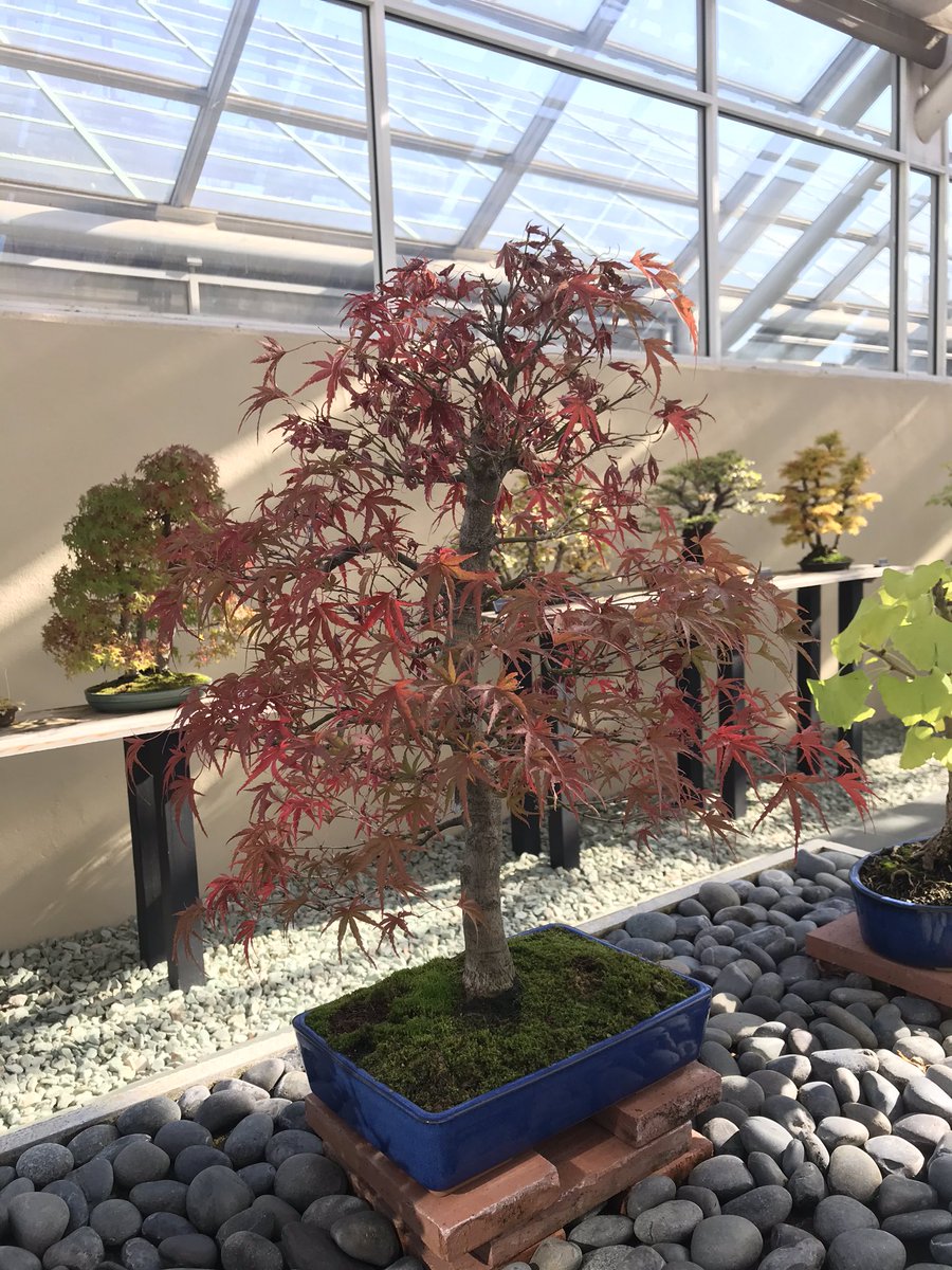 Dave Castro tweet media